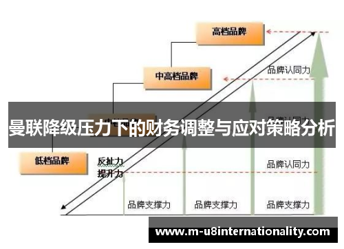 曼联降级压力下的财务调整与应对策略分析