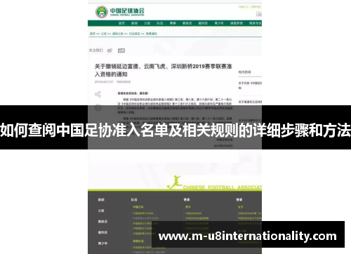 如何查阅中国足协准入名单及相关规则的详细步骤和方法