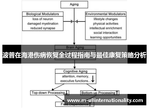 波普在海港伤病恢复全过程指南与最佳康复策略分析