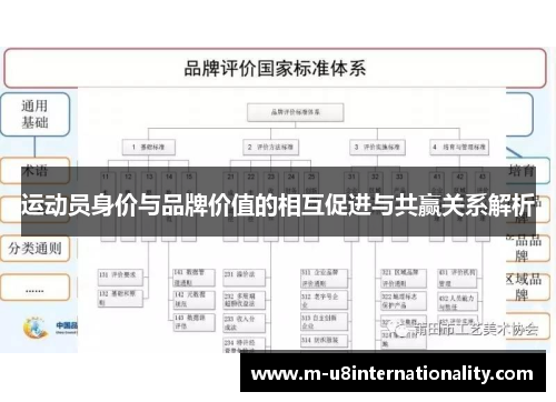 运动员身价与品牌价值的相互促进与共赢关系解析