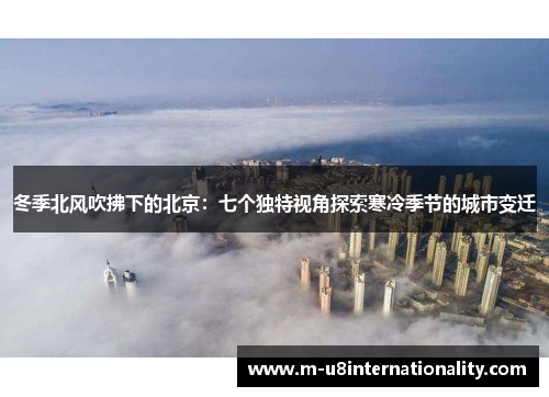 冬季北风吹拂下的北京：七个独特视角探索寒冷季节的城市变迁