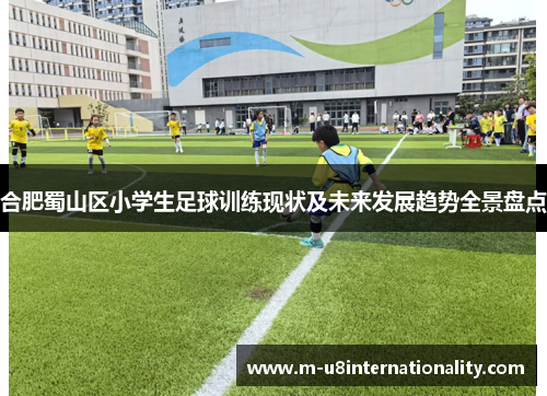合肥蜀山区小学生足球训练现状及未来发展趋势全景盘点